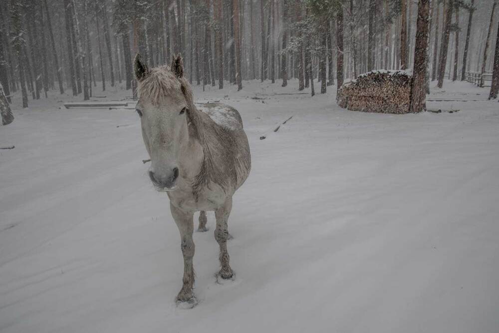 Photograph by Владимир Зубов