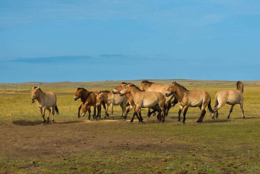 Photograph by Валентина Воробьёва