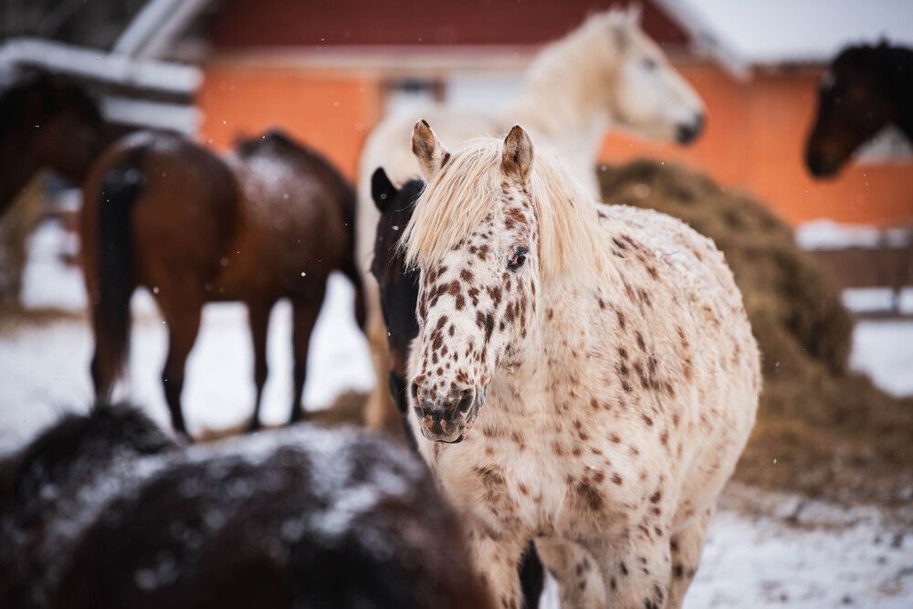 Photograph by Светлана Блинова