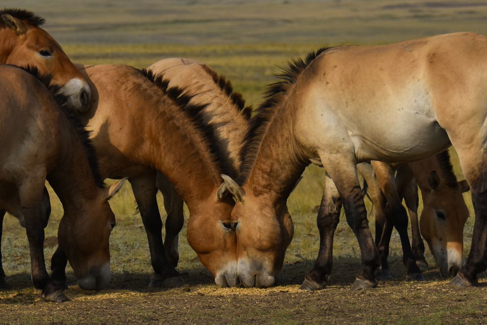 Photograph by Валентина Воробьёва