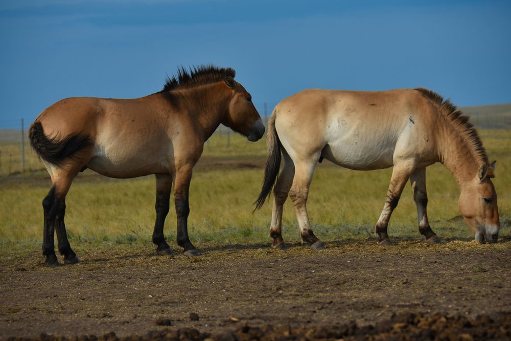 Photograph by Валентина Воробьёва