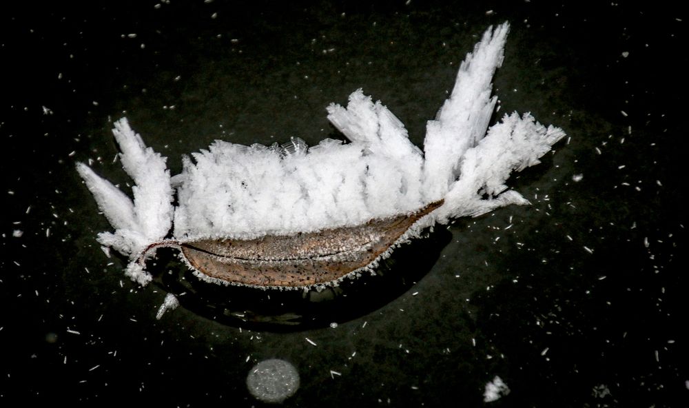 Photograph by Вячеслав Лычков