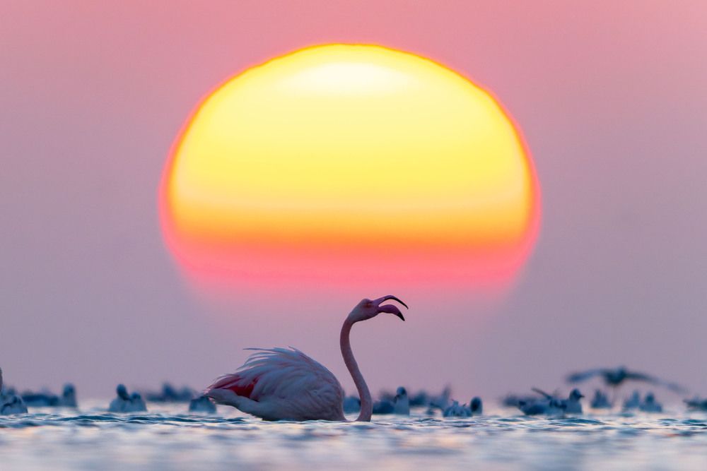 Photograph by Leslee Jayachandran