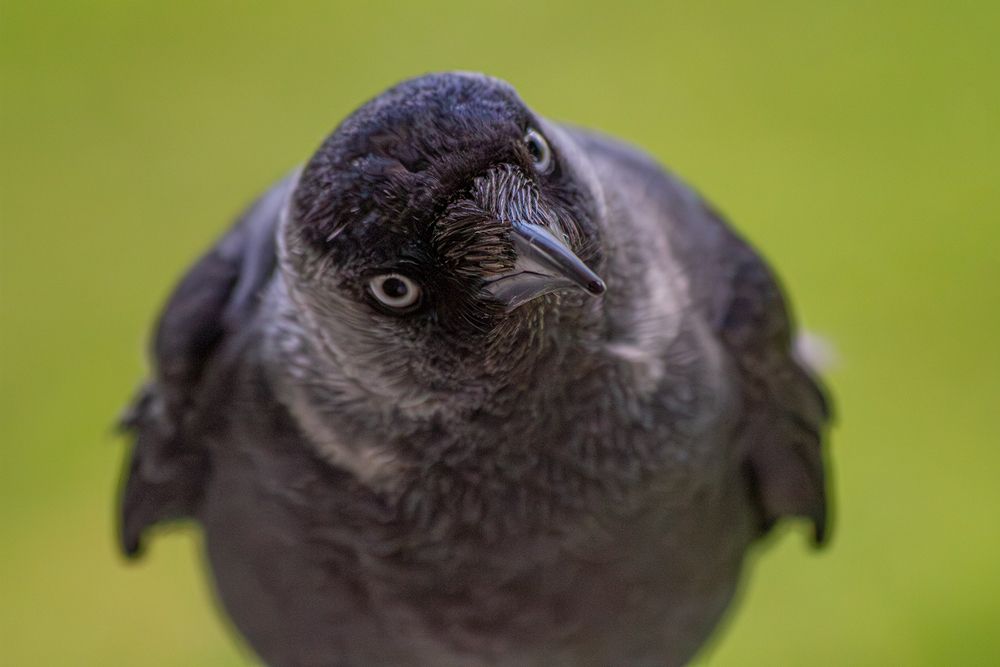 Photograph by Полина Ф