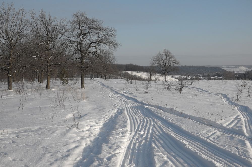 Photograph by Александр Кизим