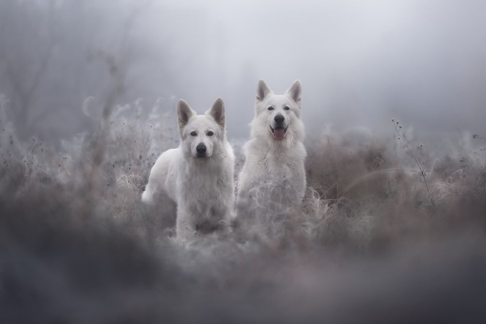 Photograph by Anna Krejčíková