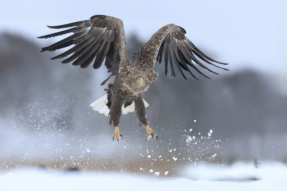 Photograph by Marcin Parzybut