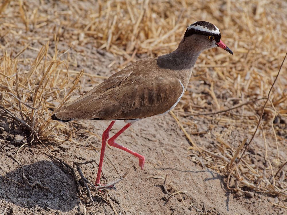 Photograph by Андрей Панин