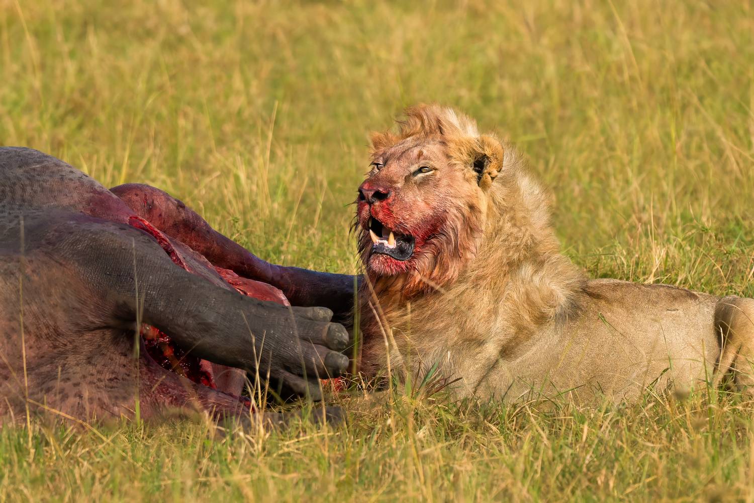 Убивая мы выживаем...