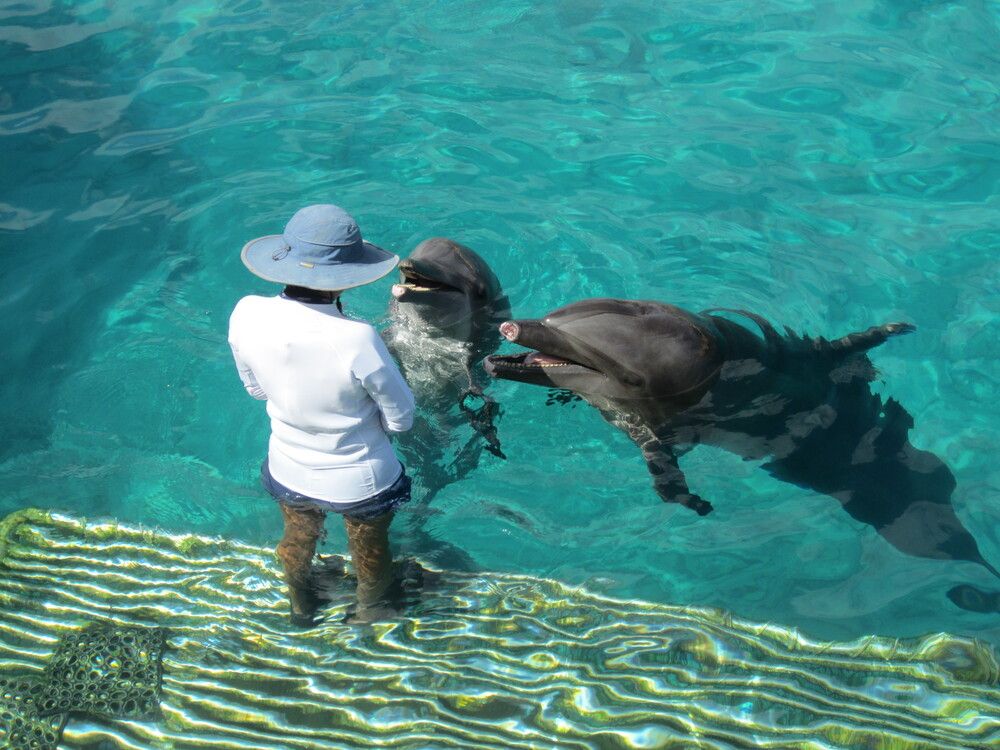 Photograph by Валентина