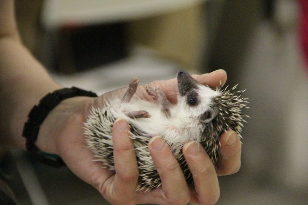 Photograph by Валентина