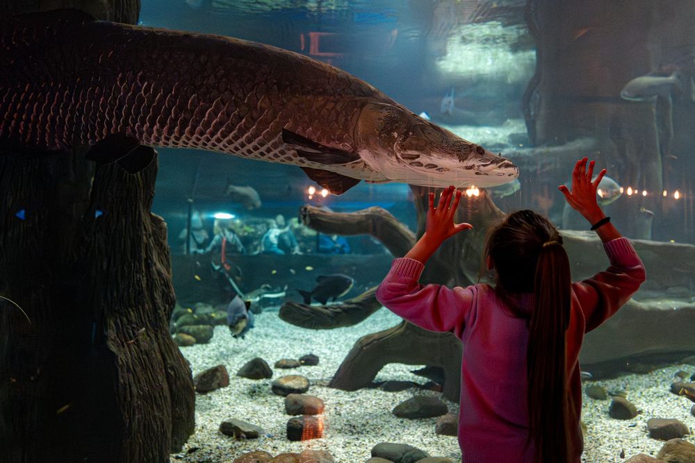 Photograph by Арсений Крят