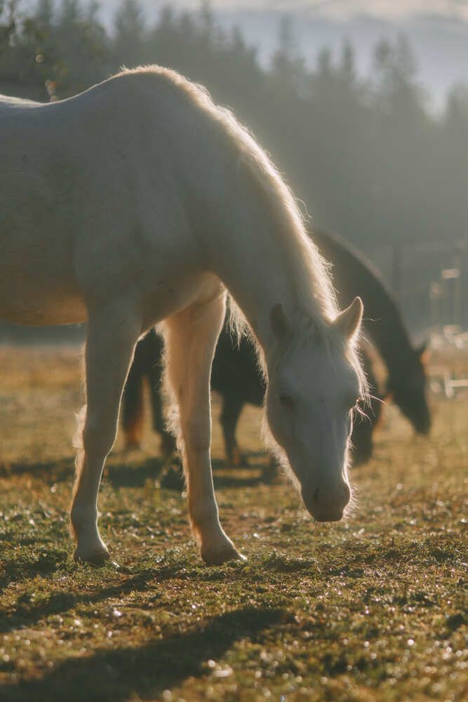 Фотография автора Алена Мархель-Дианина
