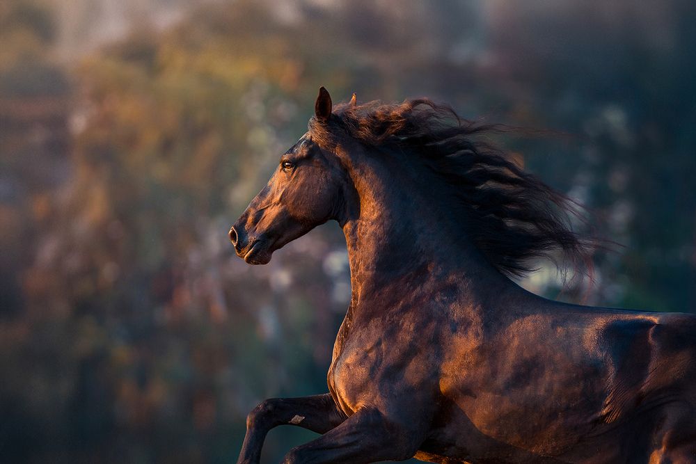 Photograph by Bragina Alexia