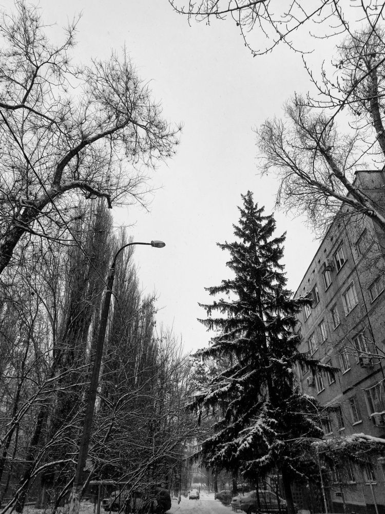 Фотография автора АлексейКа