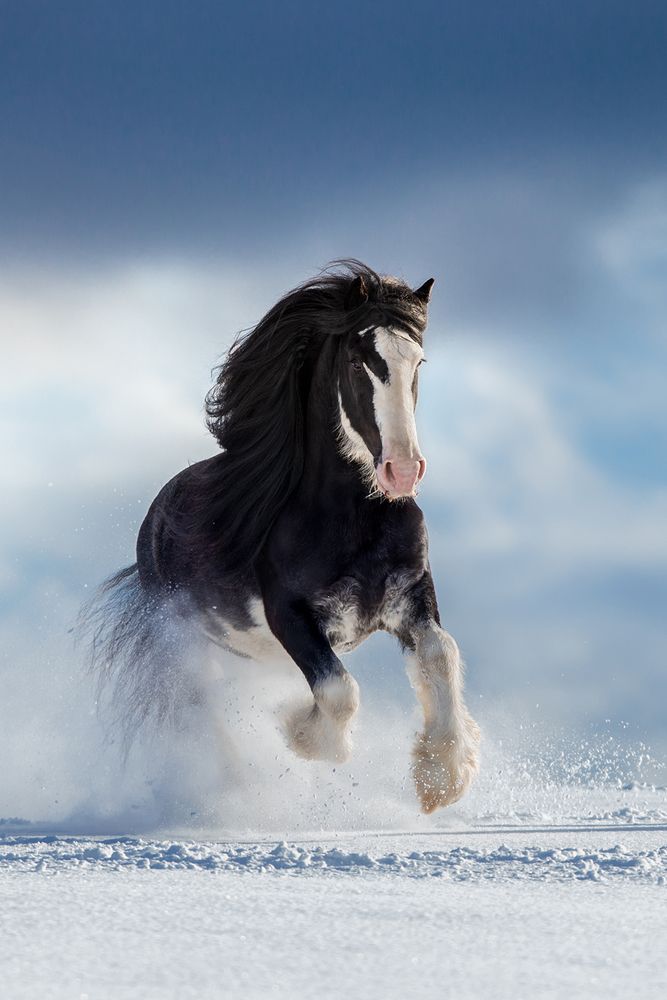 Снежный танк