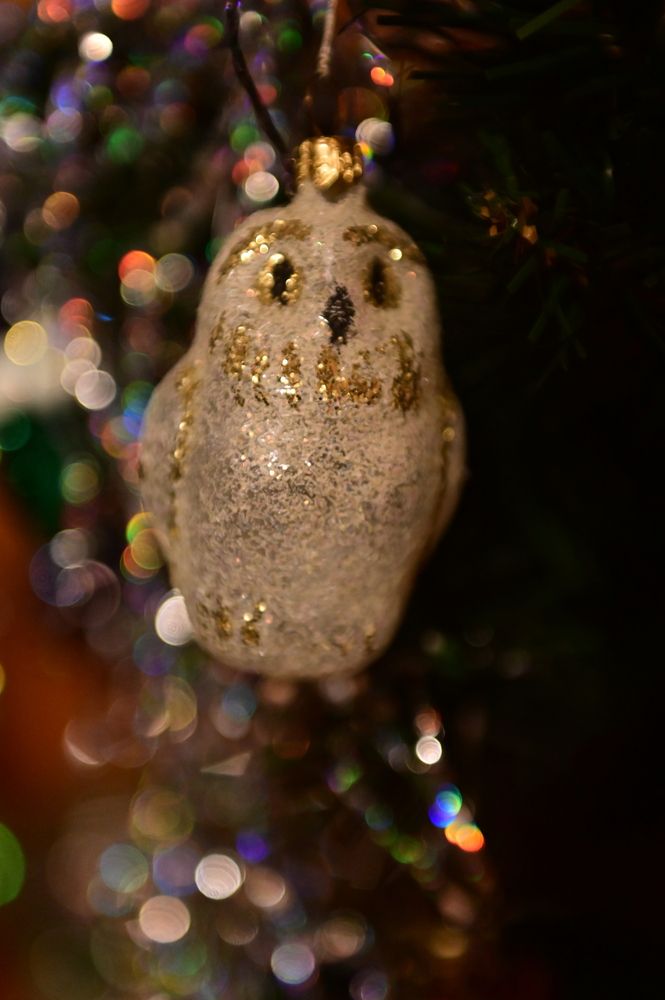 Photograph by Константин