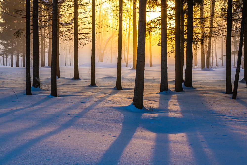 Photograph by Gennadiy Slezkin