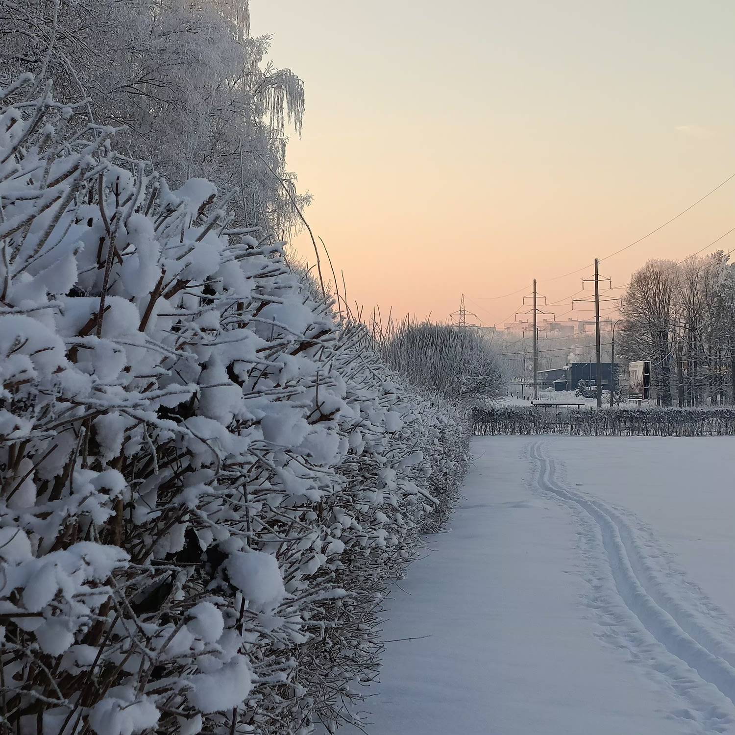 Photo #13128626