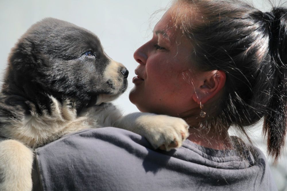 Photograph by Лариса Ким