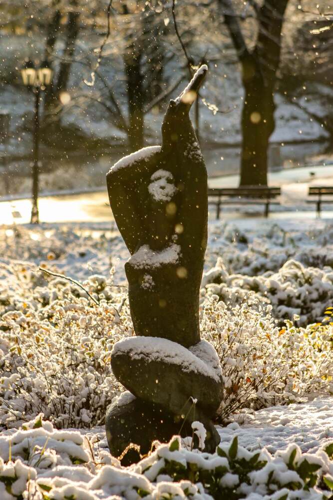 Фотография автора Igors Rostikovs