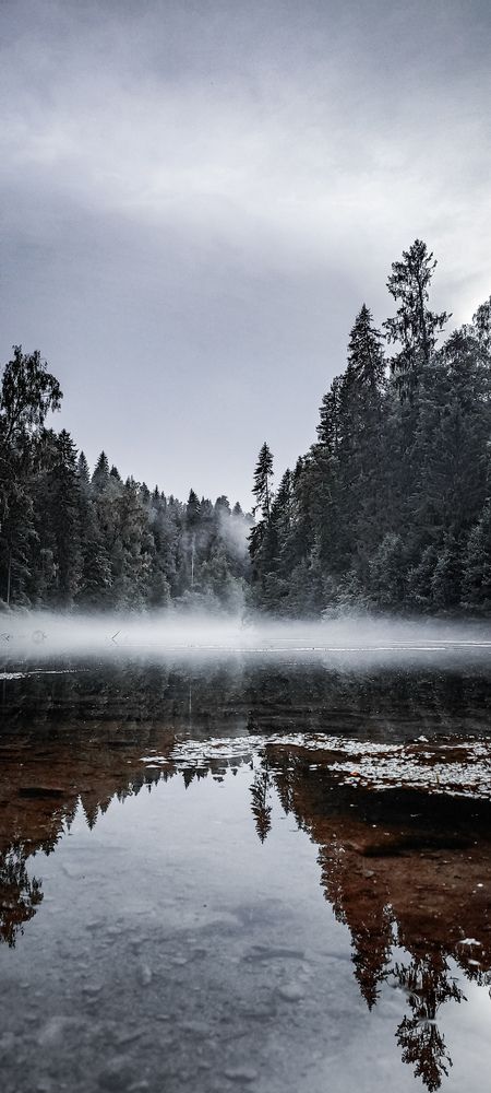Photo #13128689