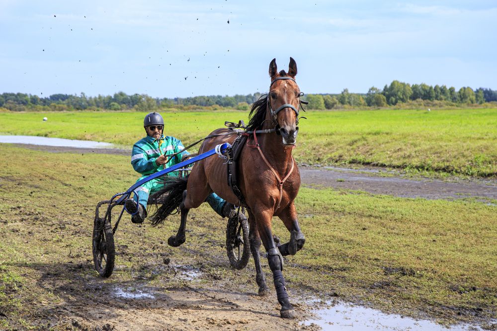 Сложная трасса