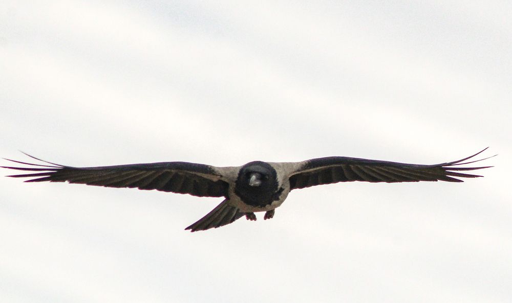 Photograph by Igors Rostikovs