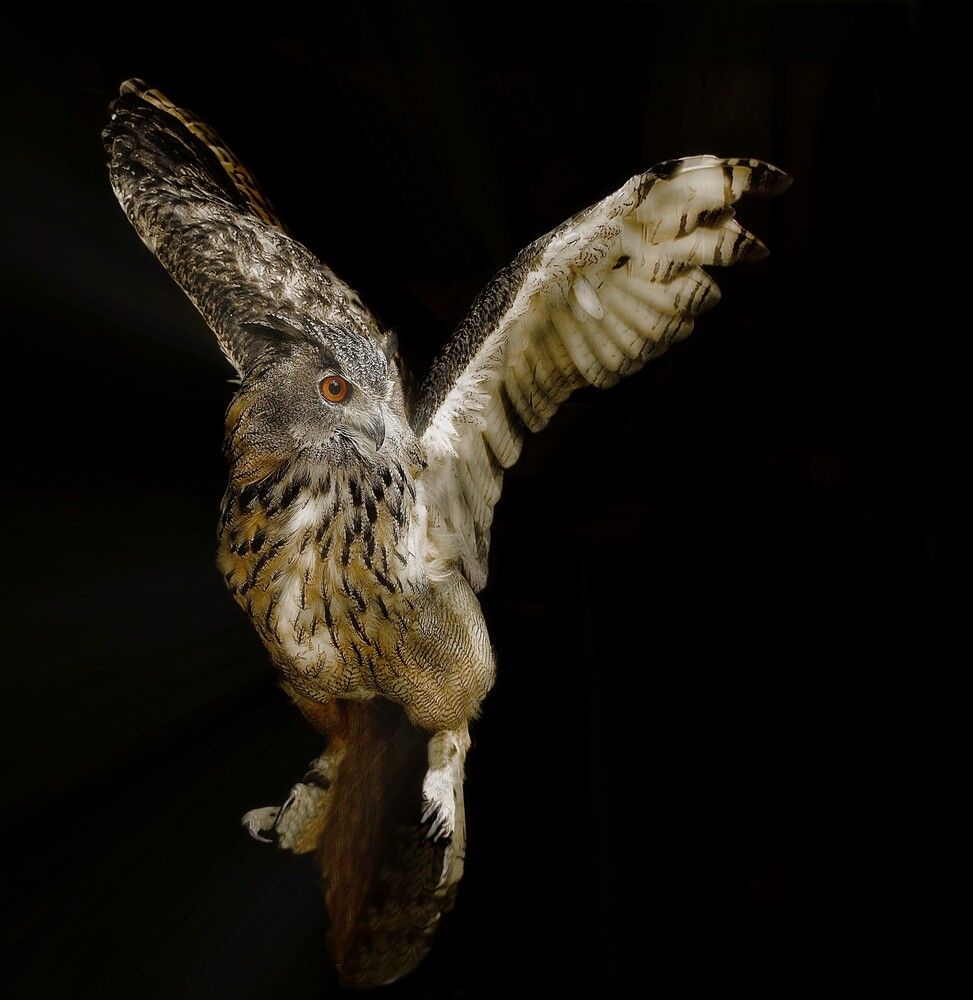 Photograph by Александр Усанов