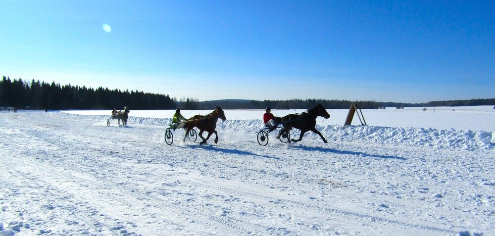 Фотография автора Николай Худяков