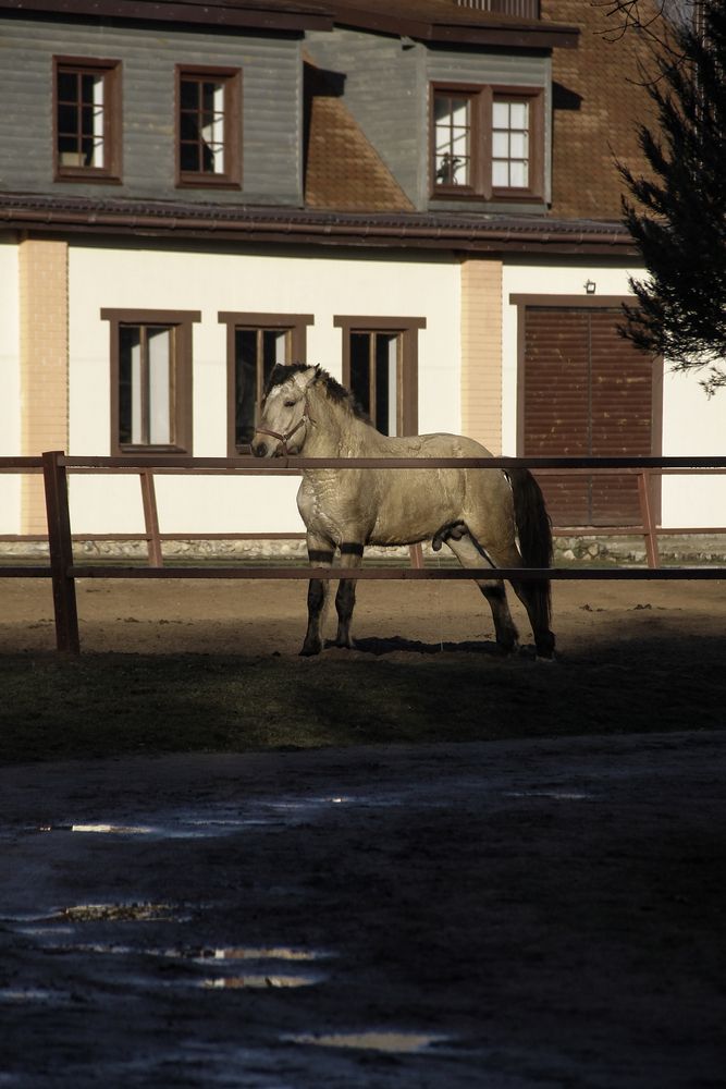 Photograph by Анастасия Псарёва