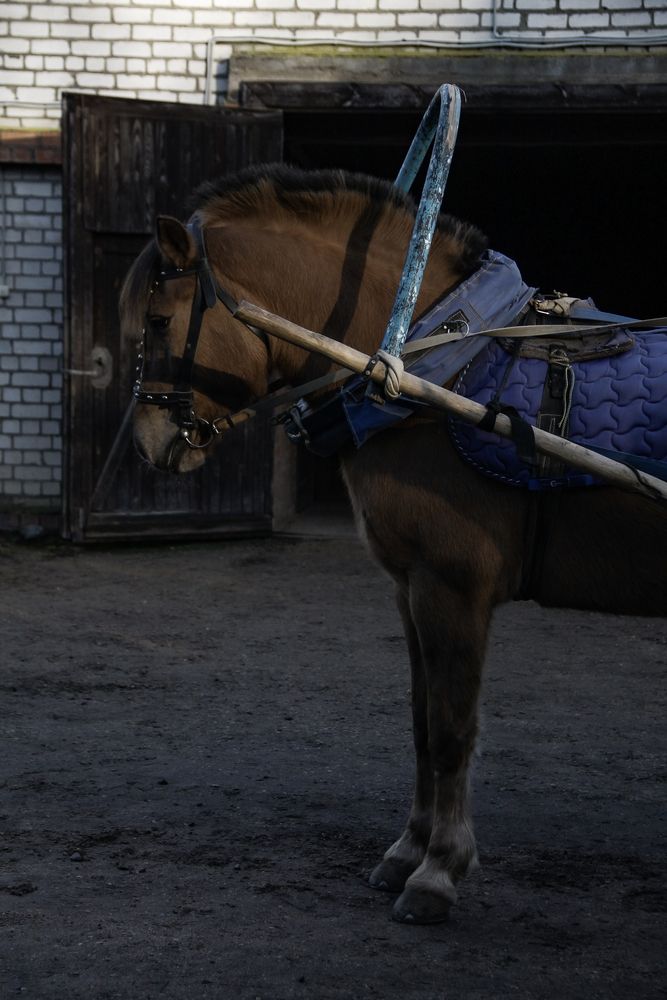 Photograph by Анастасия Псарёва