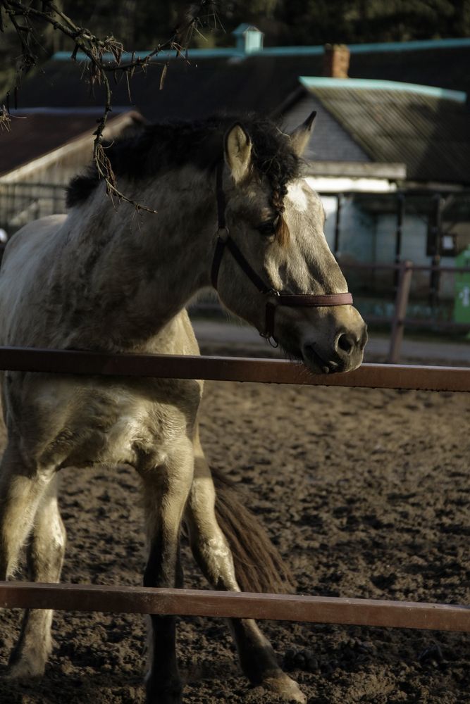 Photograph by Анастасия Псарёва