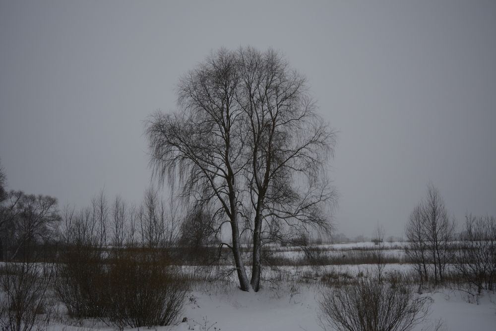 Photograph by Елена Фурашова