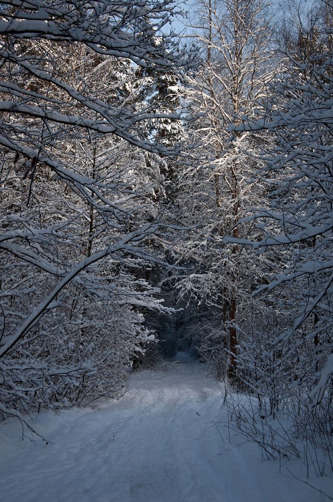 Photograph by Елена Фурашова