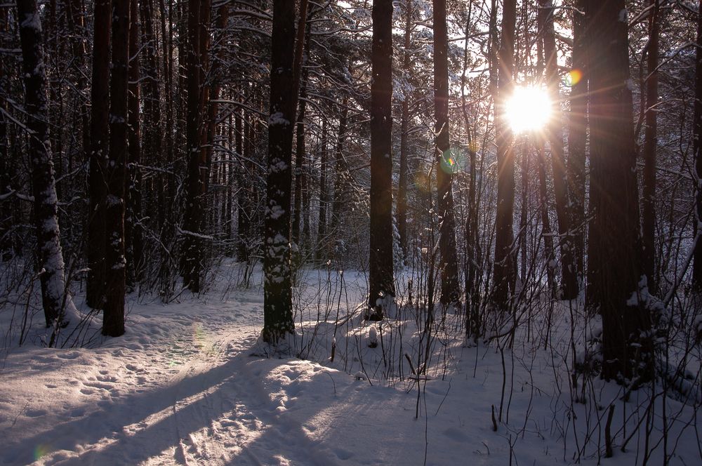 Photograph by Елена Фурашова