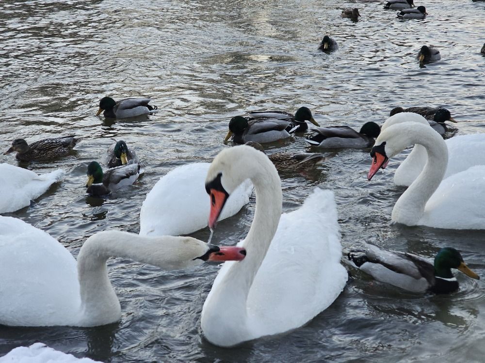 Photograph by Александр Петуховский