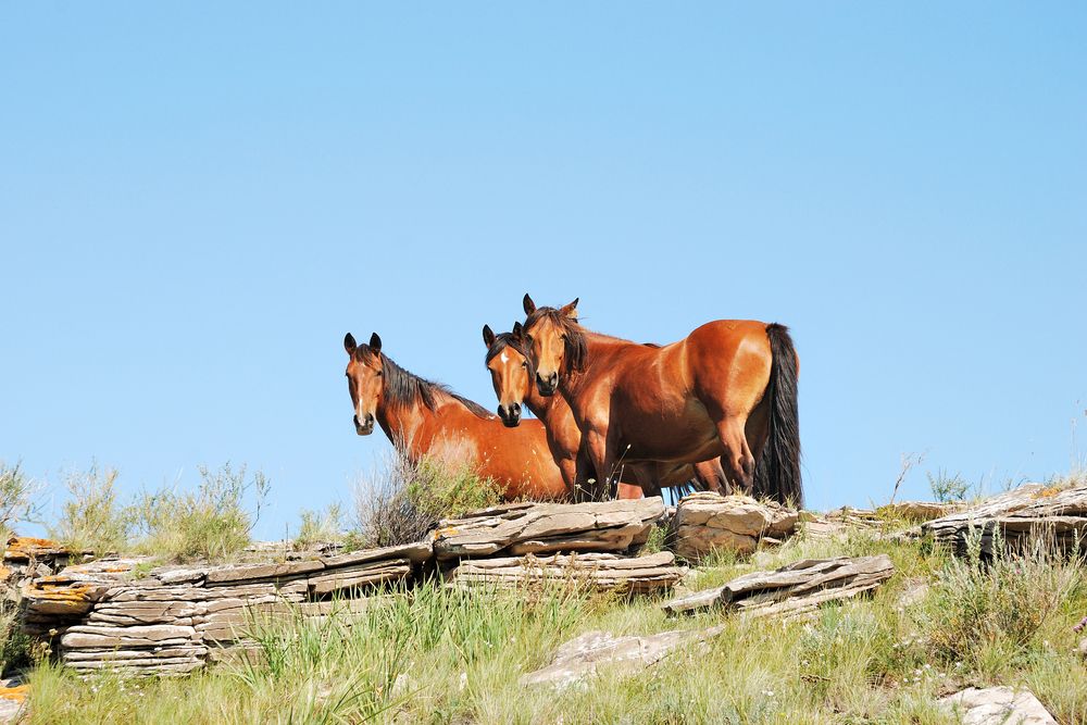 Photograph by Юрий Тимофеев