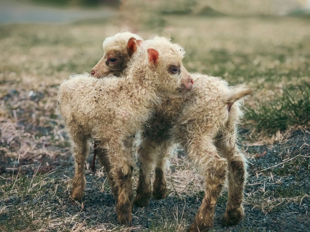 Photograph by Татьяна Соколовская