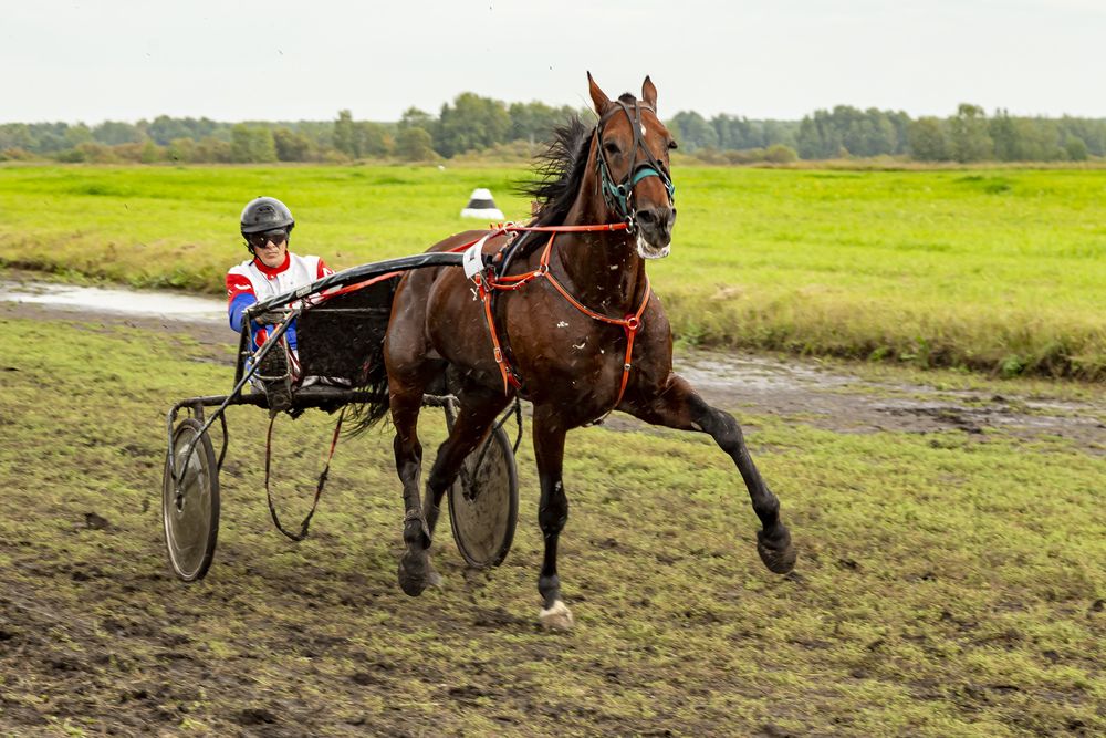 Тяжеловато. в дождик.