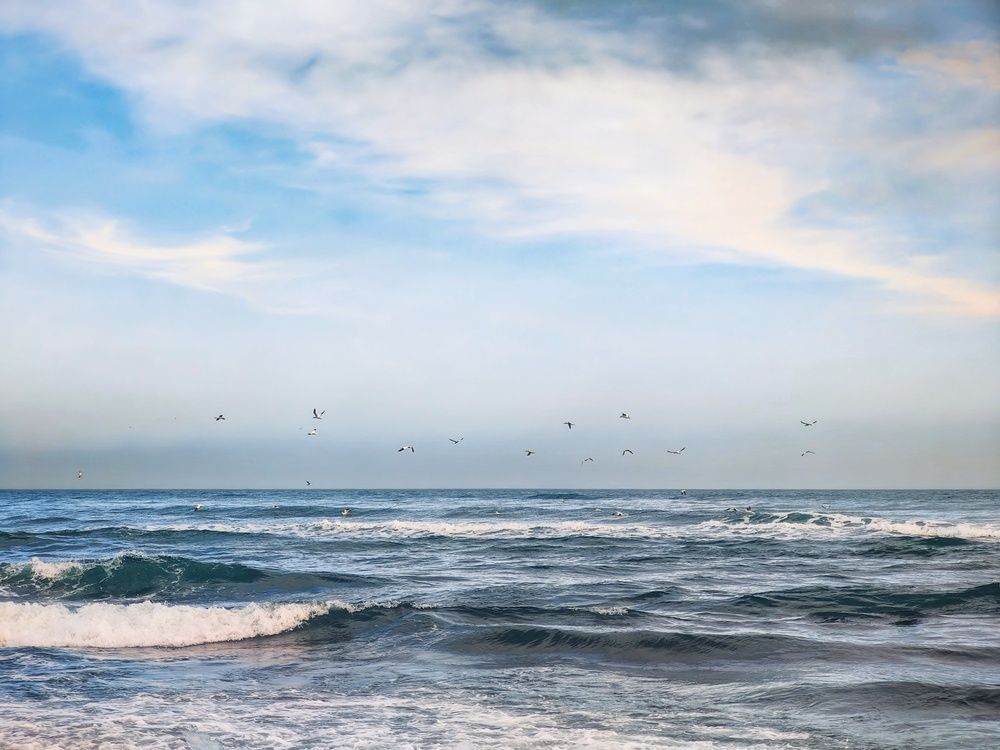 Photograph by Татьяна Соколовская