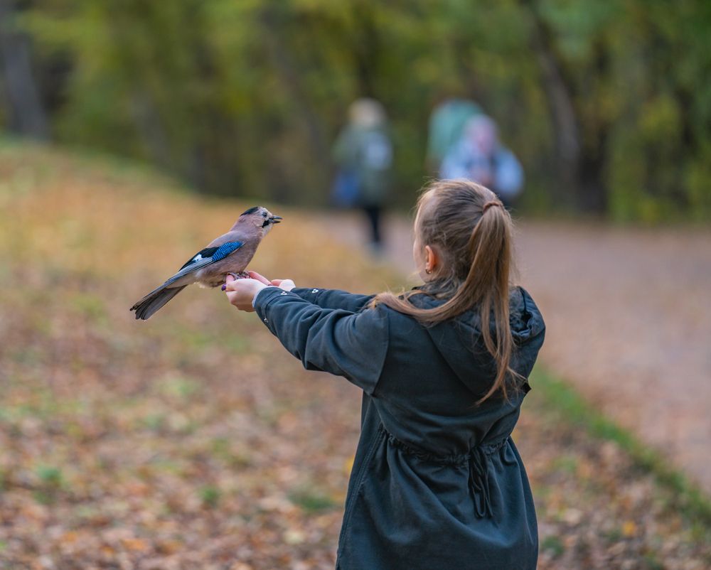 Photograph by Константин Яковлев
