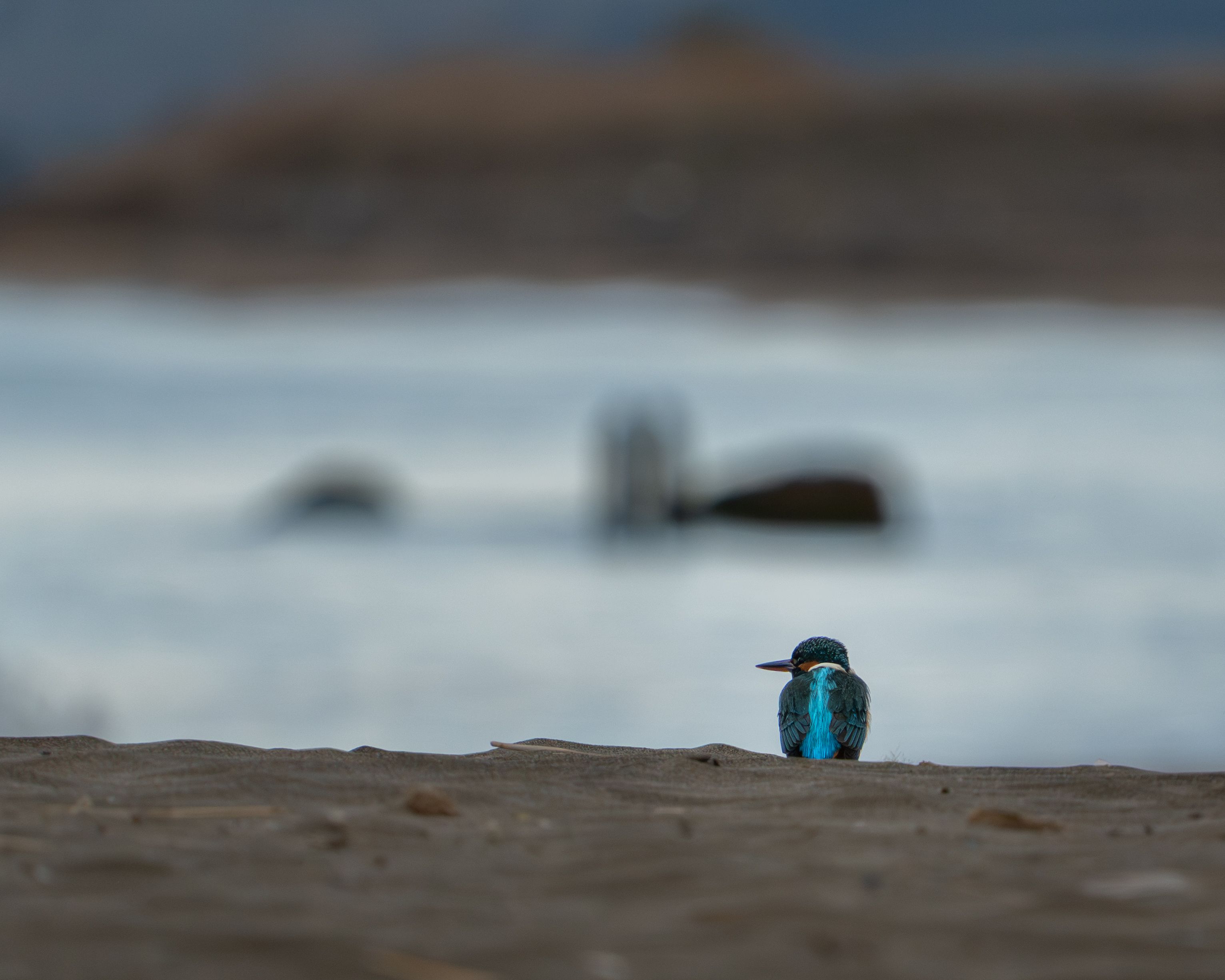 Photograph by Daniele Acconci