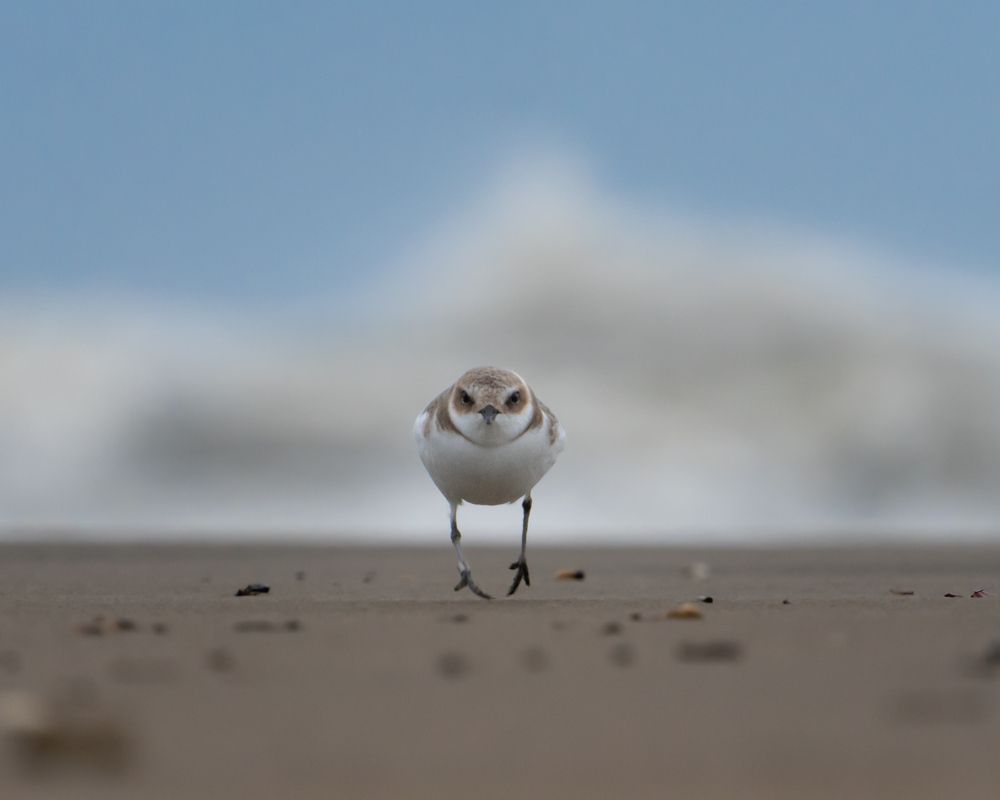 Photograph by Daniele Acconci