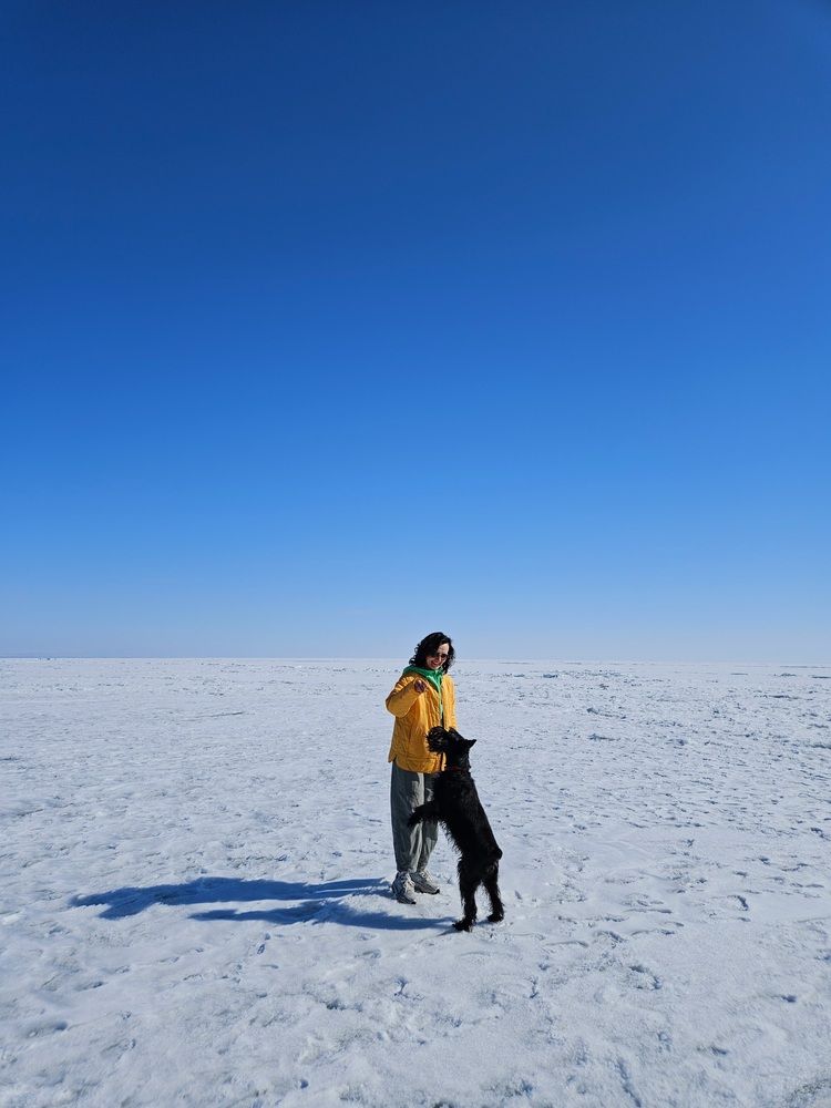 Photograph by Эльвира