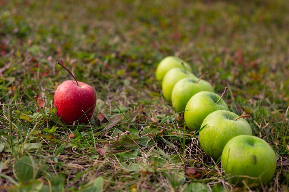 Photograph by NastЯ