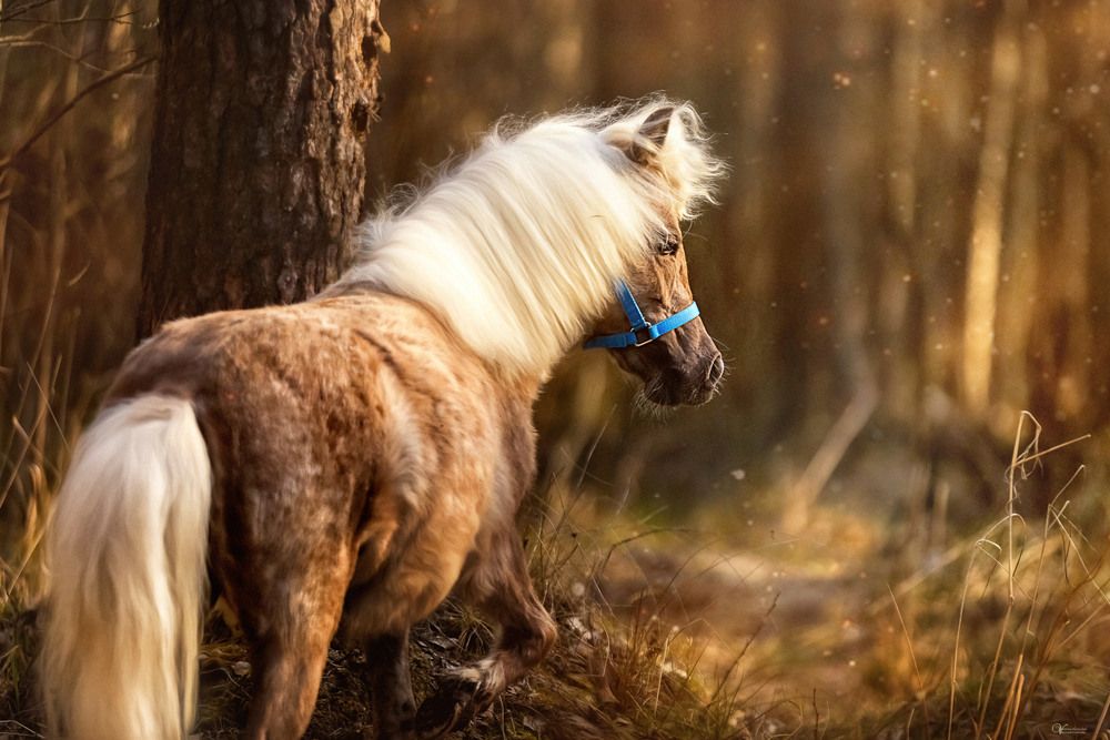 Photograph by Оля Ветрова