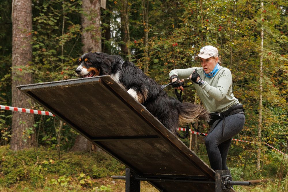 Photograph by Илья Юфа