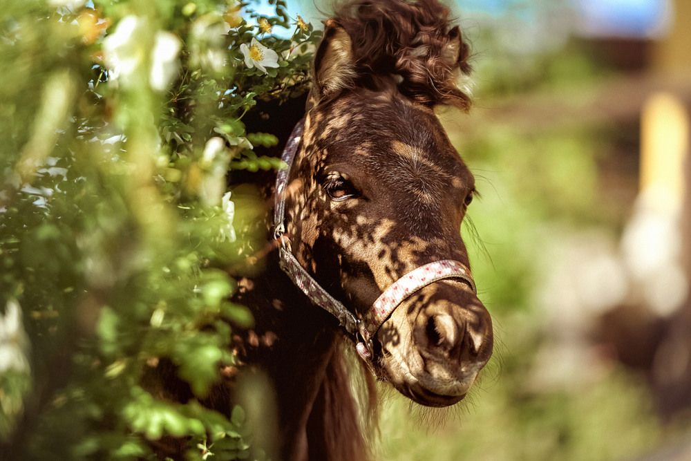 Photograph by Оля Ветрова