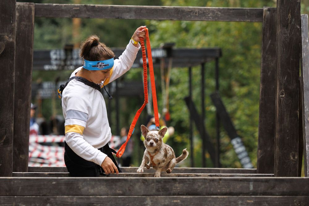 Photograph by Илья Юфа